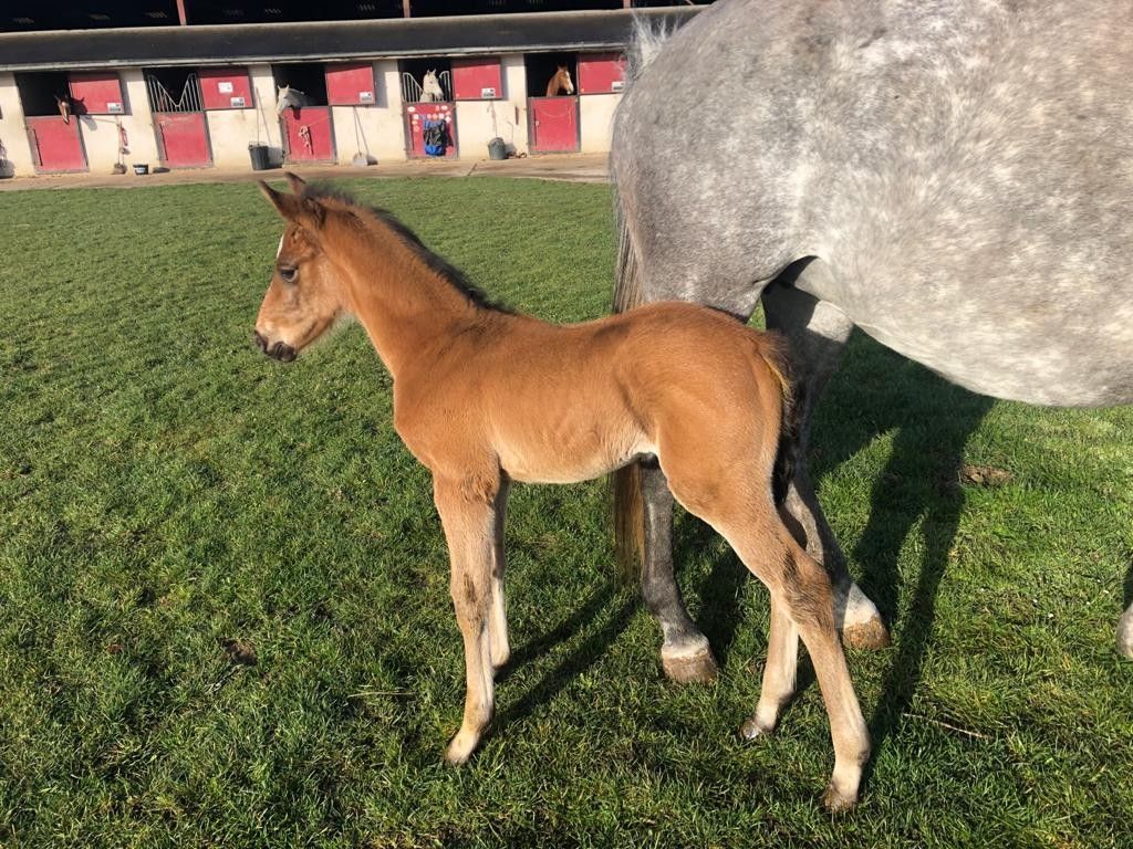 blockValue.f812a0d6-8ad3-4115-8ea3-76c8083b288b.images.1.image_alt