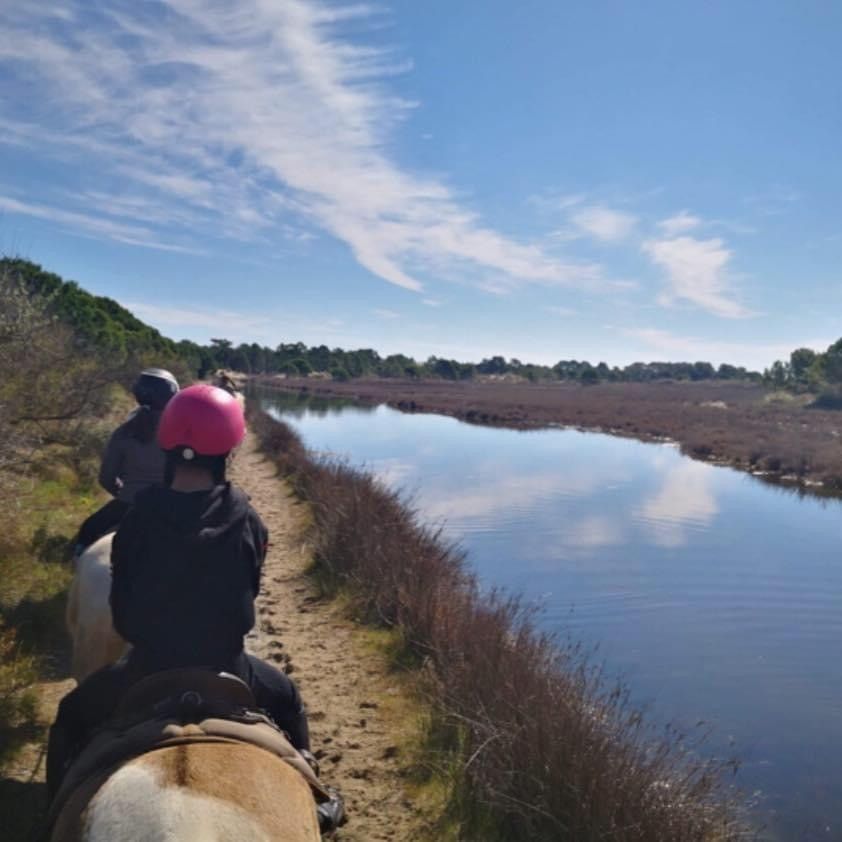 blockValue.e93b0019-444c-4f26-bf73-c361e071f5ba.cards.4.image_alt