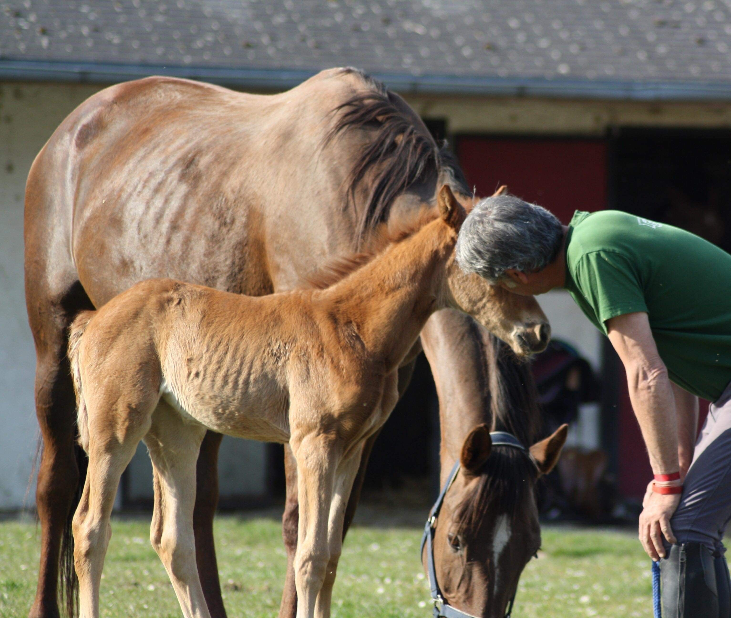 blockValue.3d152a65-7316-4965-8260-1024dcb7551c.image2_alt